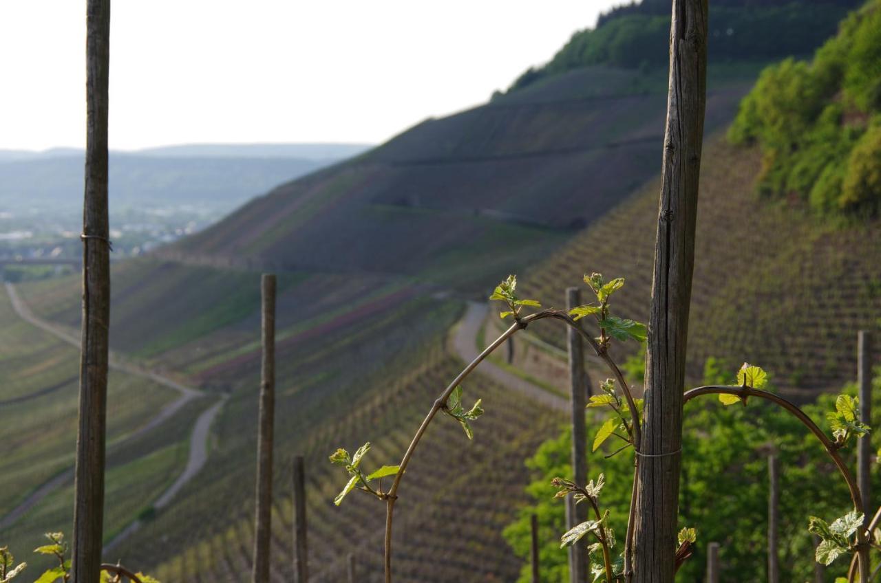 Hotel Weingut Weich Riol Esterno foto