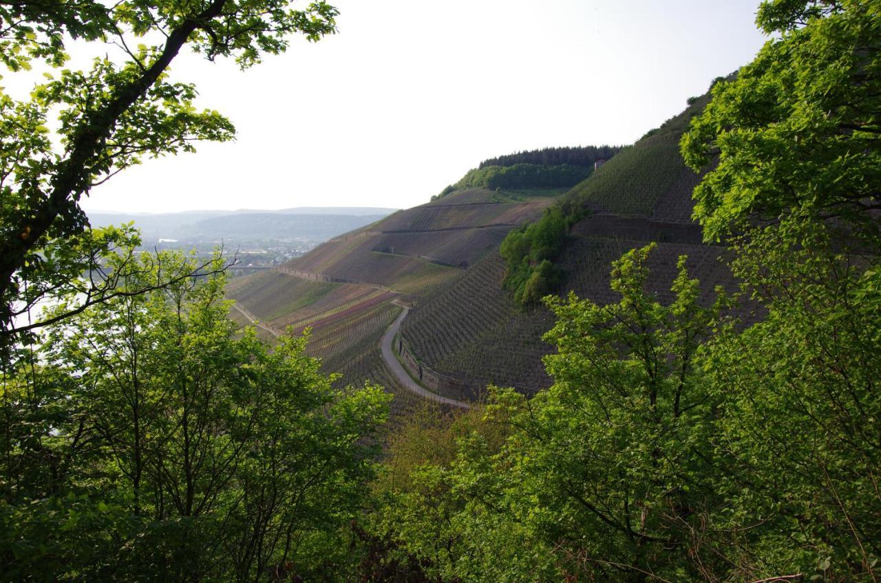 Hotel Weingut Weich Riol Esterno foto